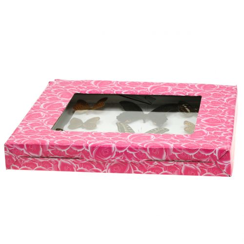Floristik24 Vitrine vlinder 28cm x 25cm