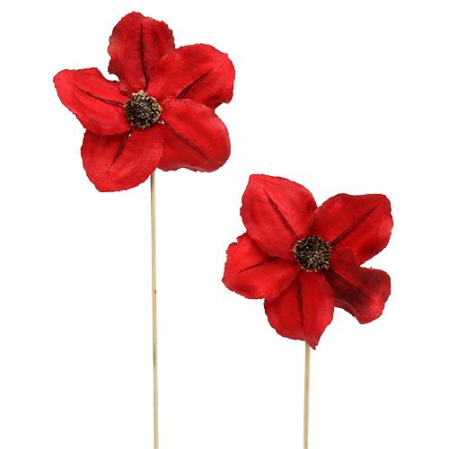 Artikel Houten bloem als plug rood Ø9cm - 12cm L45cm 15st