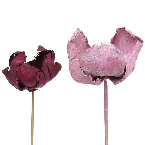 Houten bloem, palmbeker mix roze-erika 25 st