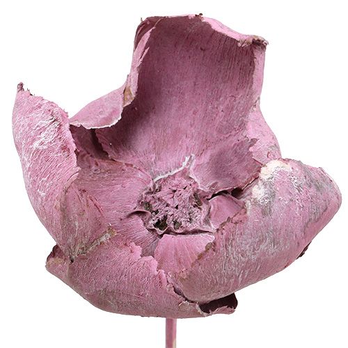 Floristik24 Houten bloem, palmbeker mix roze-erika 25 st
