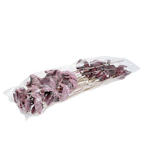 Floristik24 Houten bloem, palmbeker mix roze-erika 25 st
