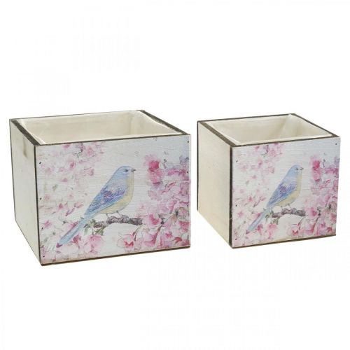 Floristik24 Plantenbakken met vogelprint, plantenbak, lente, sierbak voor beplanting vintage look L17/15cm H13/11cm set van 2