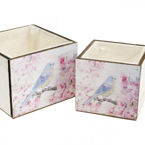 Floristik24 Plantenbakken met vogelprint, plantenbak, lente, sierbak voor beplanting vintage look L17/15cm H13/11cm set van 2