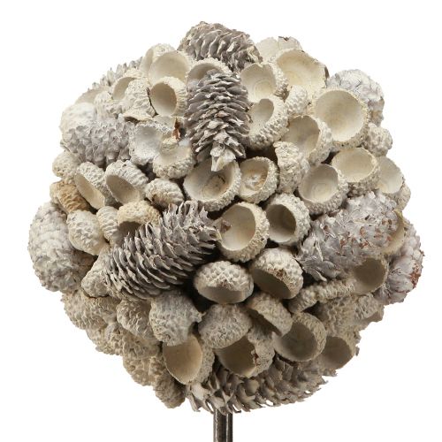 Artikel Houten decoratieboom winterdecoratie berk eikels kegels wit H40cm