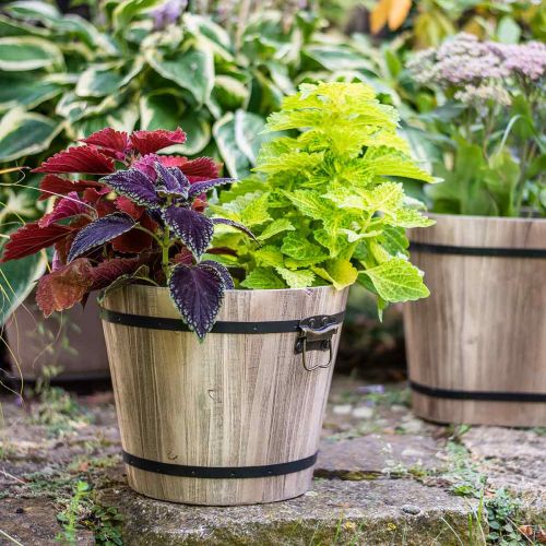 Floristik24 Houten emmerplanter hout landelijke stijl met handvatten Ø30cm