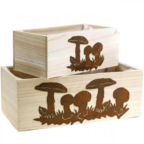 Floristik24 Plantenbakset, houten bakken met paddenstoelen, herfstdecoratie patina L40/30cm set van 2