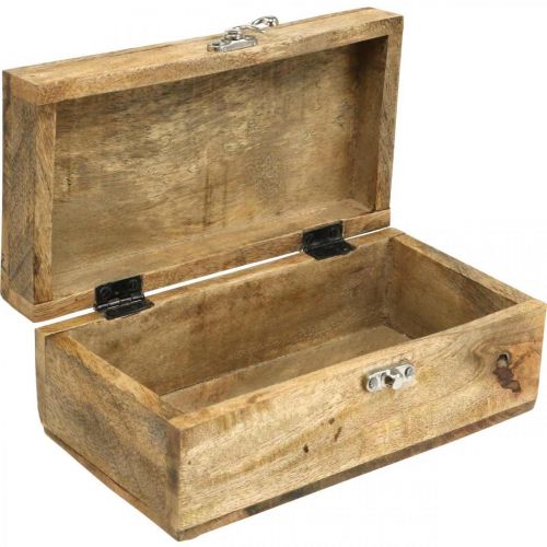 Floristik24 Houten kist met deksel sieradendoos houten kist 21,5×11×8,5 cm