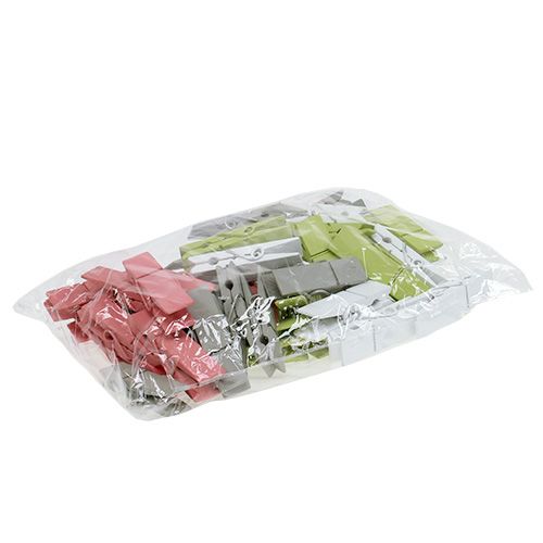 Floristik24 Houten clips kleurrijk 7,2 cm 48 st