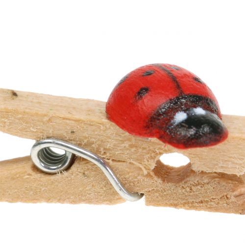 Artikel Decoratieve houten clips lieveheersbeestjes 2,5cm 180 st