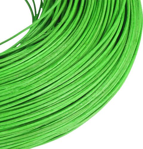 Floristik24 Rotanriet groen 1.3mm 250g