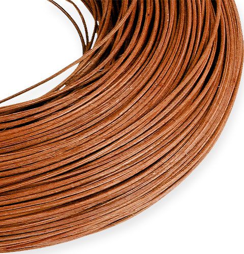 Floristik24 Stamboom kaneel 1.3mm 250g