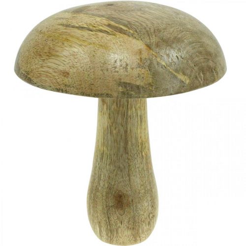 Floristik24 Houten paddestoel naturel, gele houten decoratie herfst deco paddestoelen 15×13cm