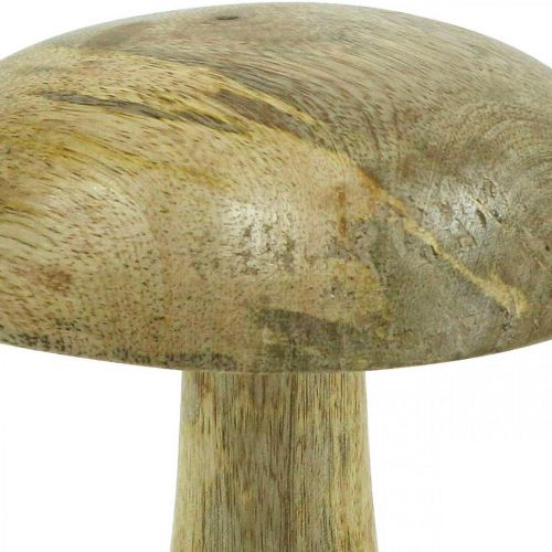 Floristik24 Houten paddestoel naturel, gele houten decoratie herfst deco paddestoelen 15×13cm
