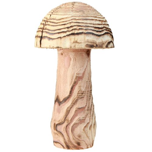 Artikel Houten paddenstoel voor staand decoratief paddenstoelhout Paulownia Ø15cm H28cm