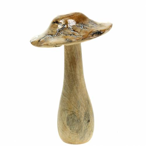 Floristik24 Hout paddestoel geglazuurd naturel / wit H20cm