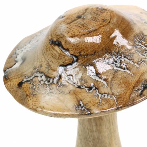 Floristik24 Hout paddestoel geglazuurd naturel / wit H20cm