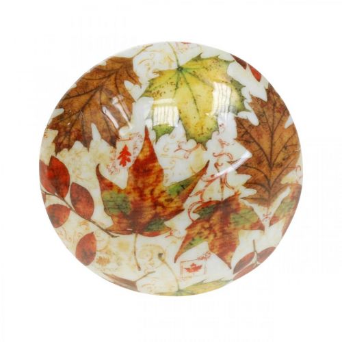 Artikel Houten paddestoeldecoratie herfstbladeren wit, kleurrijke paddestoel tafeldecoratie Ø10cm H15cm