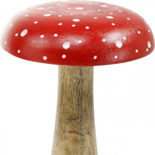 Floristik24 Vliegenzwam hout grote herfstdecoratie paddestoel Ø14cm H24cm