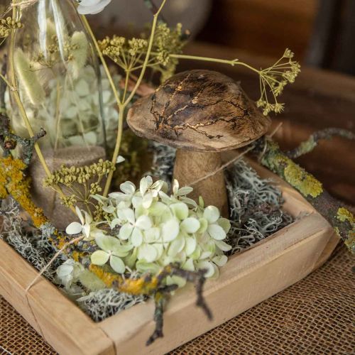 Floristik24 Houten paddestoel met patroon deco paddestoel naturel, gouden hout deco Ø10cm H13cm