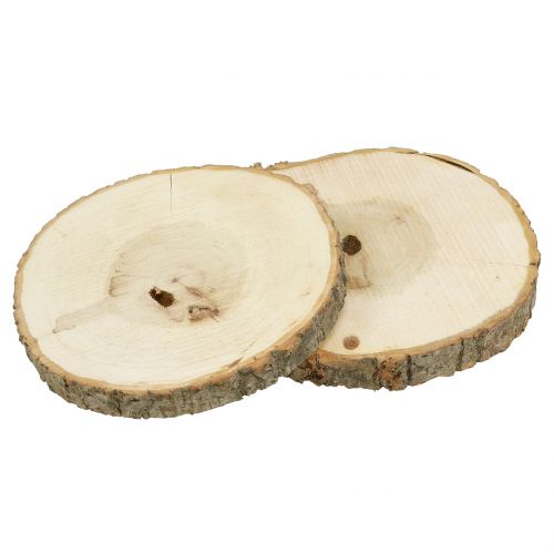 Floristik24 Houten schijf naturel 20cm 2 st
