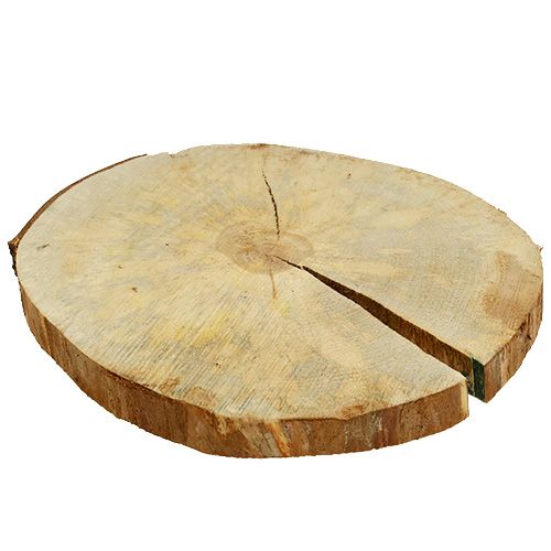 Floristik24 Houten schijf naturel 25cm - 30cm