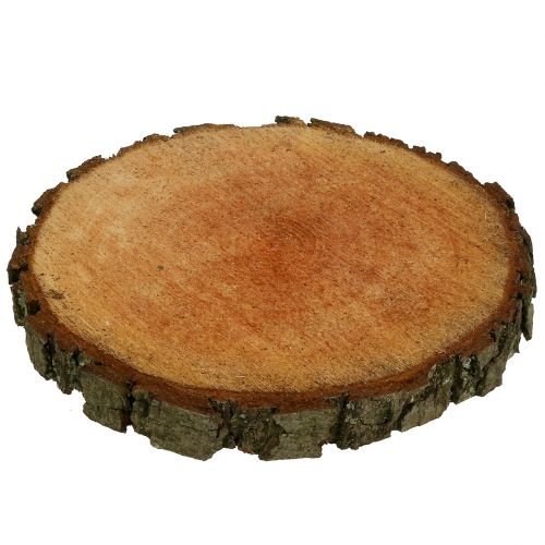 Floristik24 Houten schijf gemaakt van natuurlijke els Ø20cm - 24cm