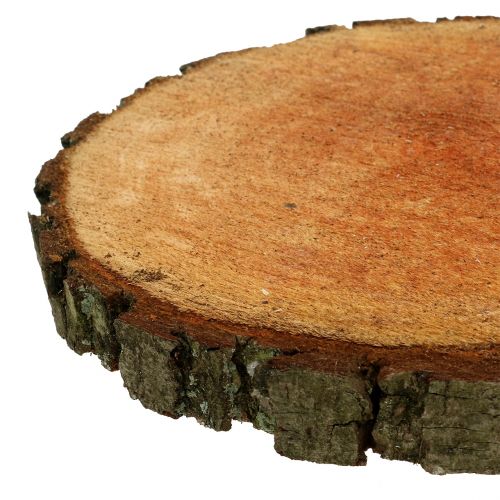 Floristik24 Houten schijf gemaakt van natuurlijke els Ø20cm - 24cm