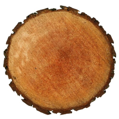 Floristik24 Houten schijf gemaakt van natuurlijke els Ø20cm - 24cm