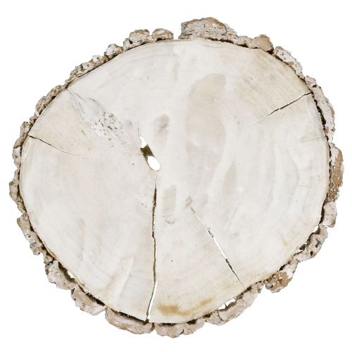 Floristik24 Houten schijf gewassen wit 13cm - 15cm 2st