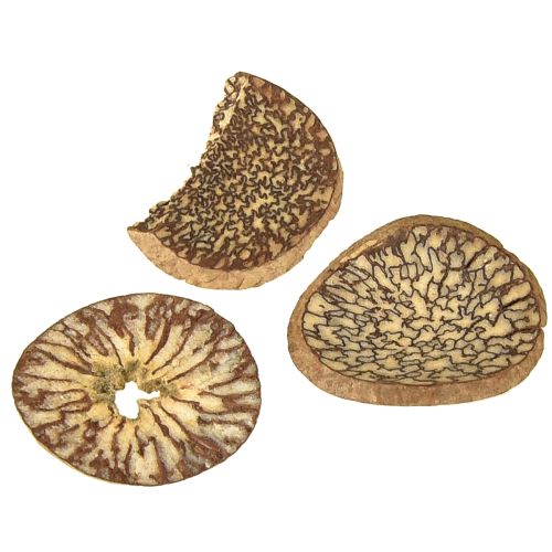 Artikel Houten schijven decoratieve betelnootschijfjes areca 1-3,5cm 300g