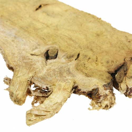 Floristik24 Deco houten schijven natuur 1kg