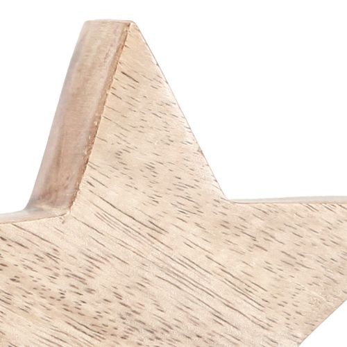 Floristik24 Houten ster natuurlijke ster mangohouten tafeldecoratie Ø10cm 3 st