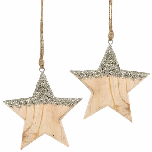 Floristik24 Hanger houten ster mica 14.5cm 2st