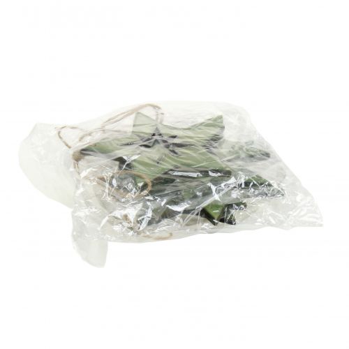 Artikel Houten ster met motieven groen 11cm 6st