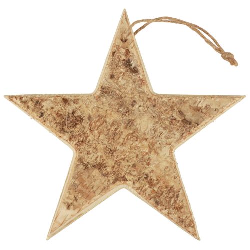 Floristik24 Houten sterren decoratieve decoratieve hanger rustiek decoratief hout Ø20cm