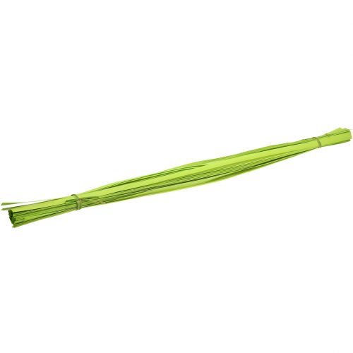 Floristik24 Houten strips lentegroen 95cm - 100cm 50 st