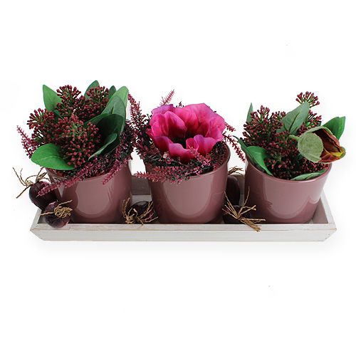 Floristik24 Houten schaal wit 35cm x 11cm