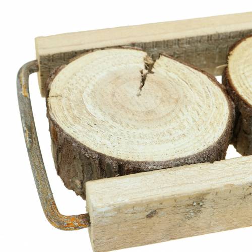 Floristik24 Decoratief dienblad hout met boomschijfjes 34cm x 12cm H3cm