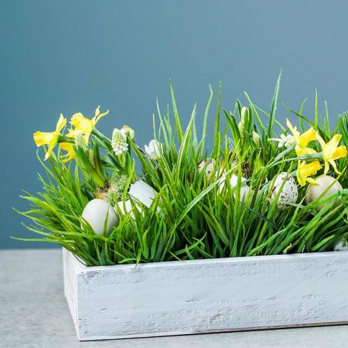 Floristik24 Shabby Chic Houten Dienblad Rechthoekig 37,5 cm x 14,5 cm H6,3 cm