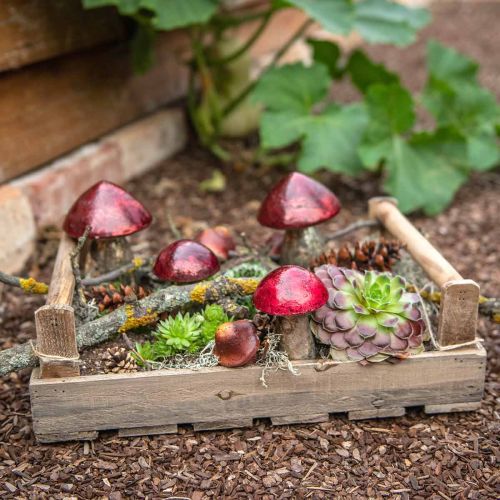 Floristik24 Houten dienblad rechthoekig natuur, beige 39x27cm/48x32cm set van 2