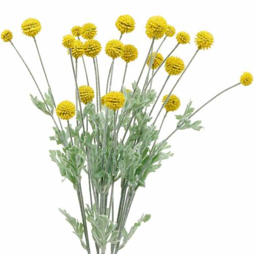 Floristik24 Drumstick Gele Kunstmatige Craspedia Zijden Bloemen