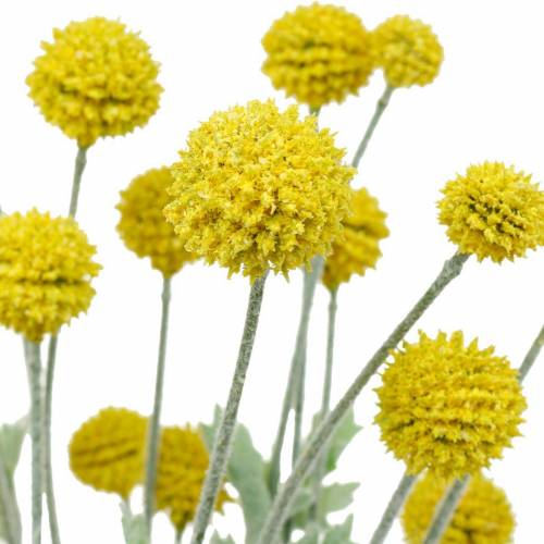 Floristik24 Drumstick Gele Kunstmatige Craspedia Zijden Bloemen