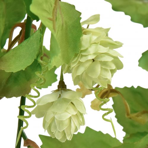 Floristik24 Bladslinger hopslinger groen kunstmatig L180cm