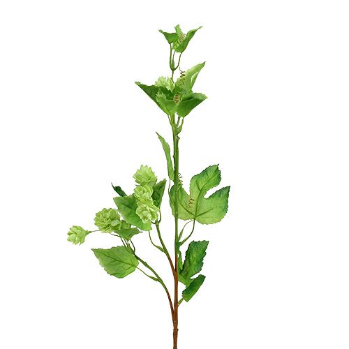 Floristik24 Hoptak 70cm groen 2 stuks kunstplant
