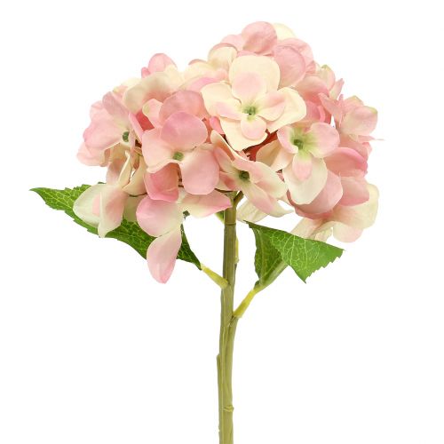 Floristik24 Hortensia roze, creme 36cm