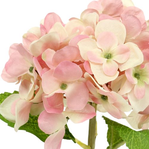 Floristik24 Hortensia roze, creme 36cm