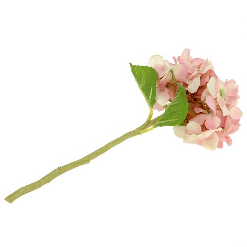 Floristik24 Hortensia roze, creme 36cm