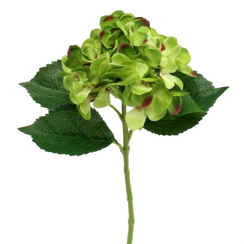 Floristik24 Hortensia groen kunstmatig voor decoratie L54cm