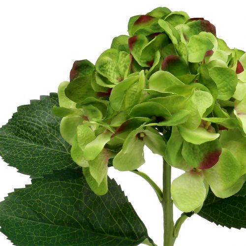 Artikel Hortensia groen kunstmatig voor decoratie L54cm