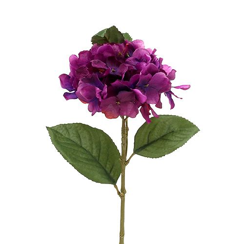 Floristik24 Hortensia paars 30cm 3st